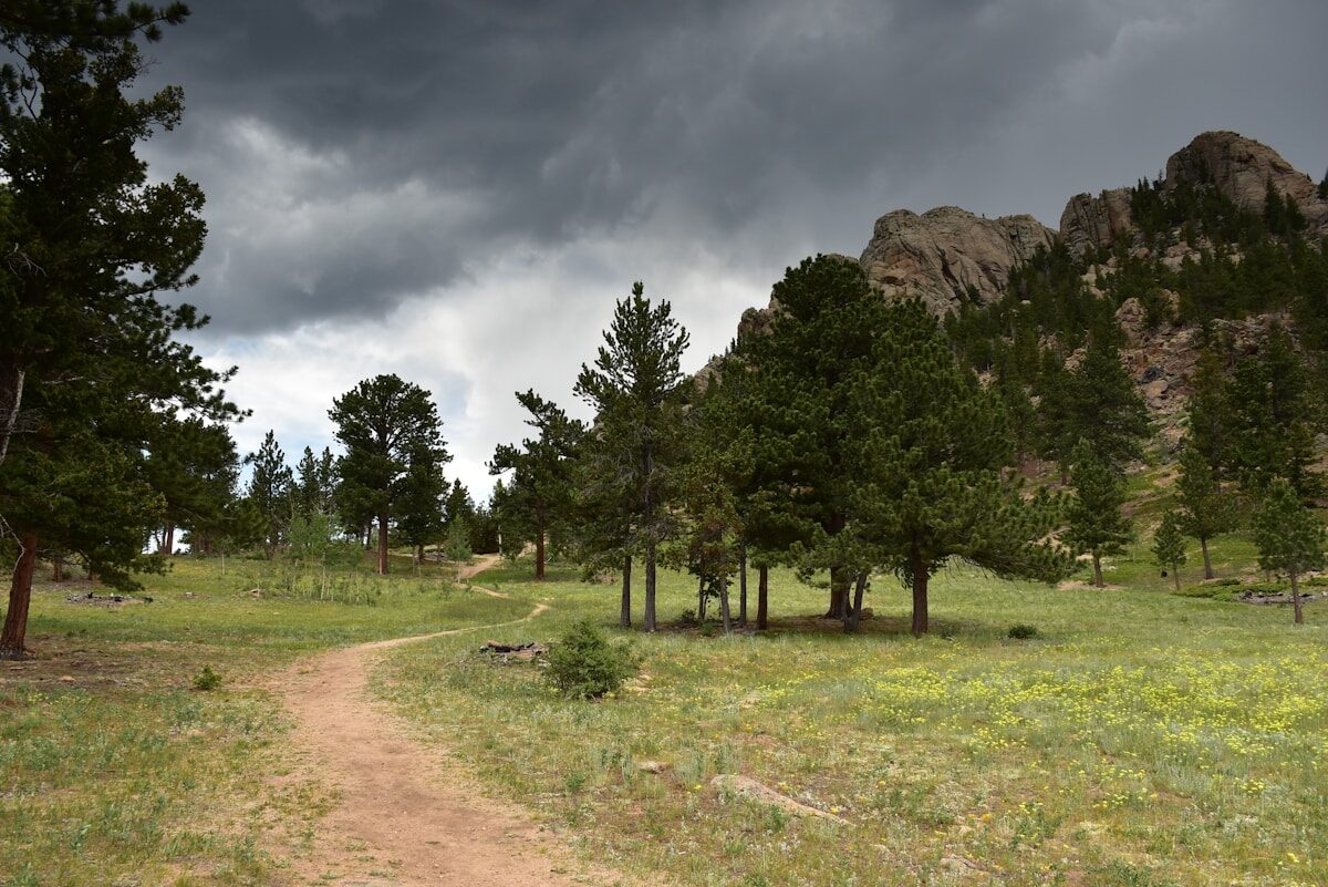 Sunny Meadow Loop