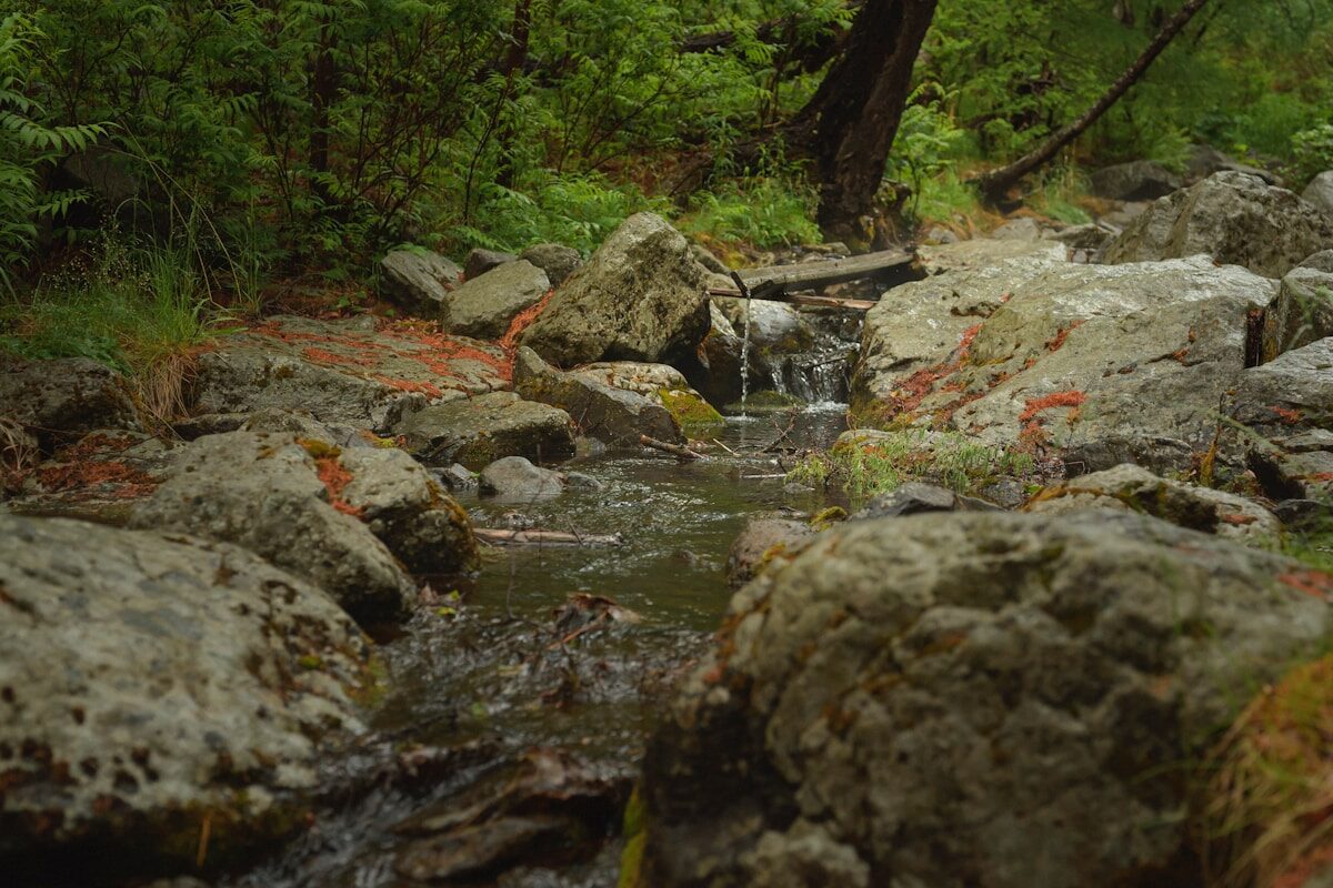 Mossy Creek Trail