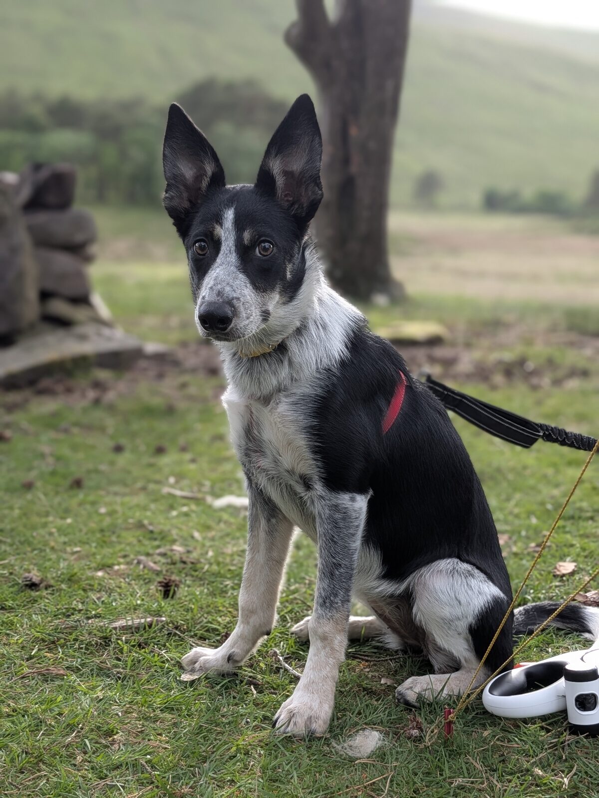 River sitting on grass with hills behind