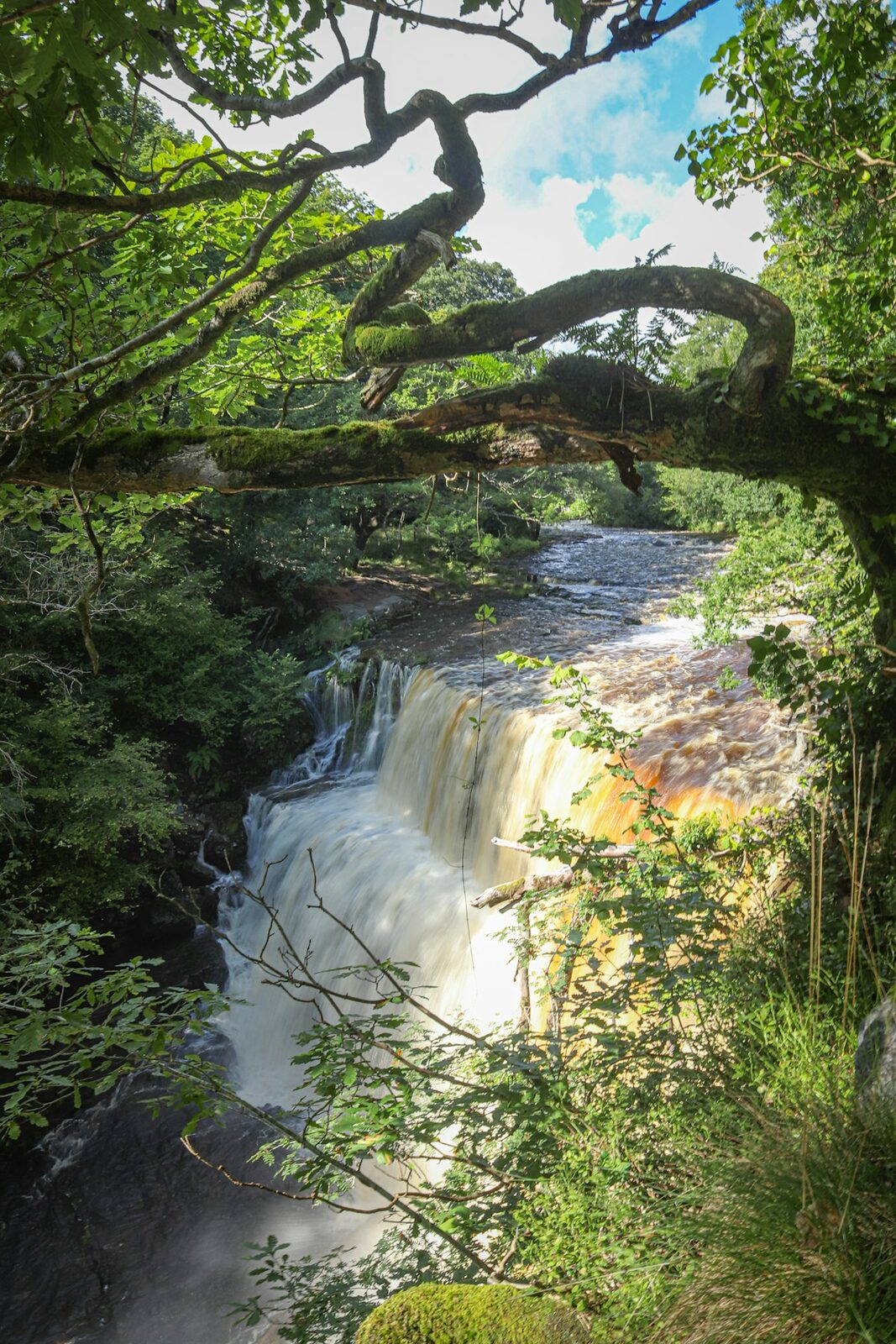 Streamside Rest